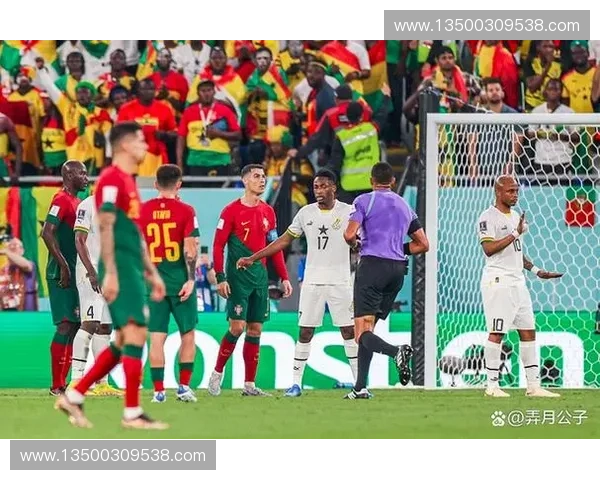 卡塔尔世界杯冠军之路解析：从开赛到夺冠的关键时刻与背后故事